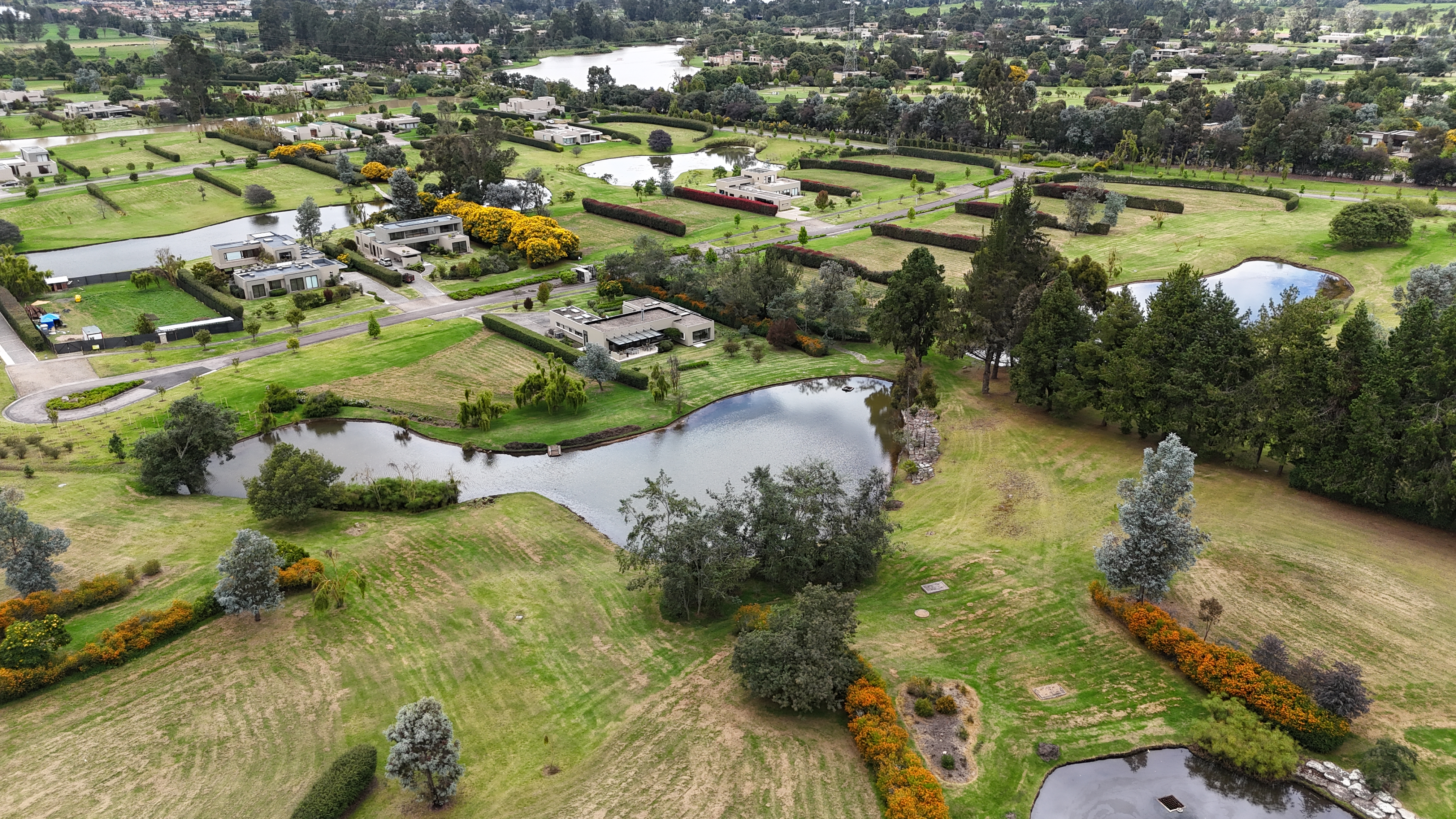 Implicaciones de la Ley 2173 de 2021 y el Rol Técnico de Bosque & Ciudad en la Regeneración de los Ecosistemas